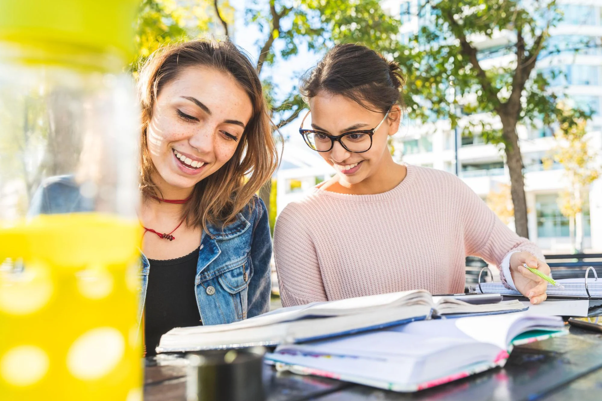 Two students are studying together in a park